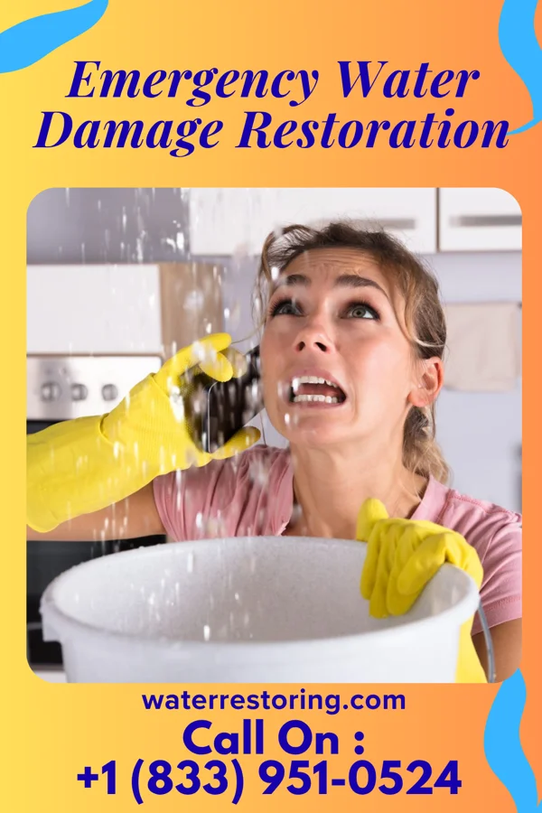 Emergency Water Damage Restoration in North Bennington, VT