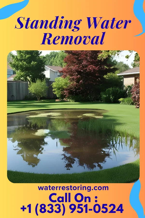 Standing Water Removal in North Bennington, VT